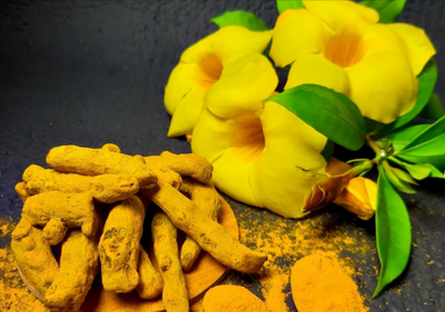 Turmeric; The Magical Spice, for Boosting the Health of Your Beloved Pets